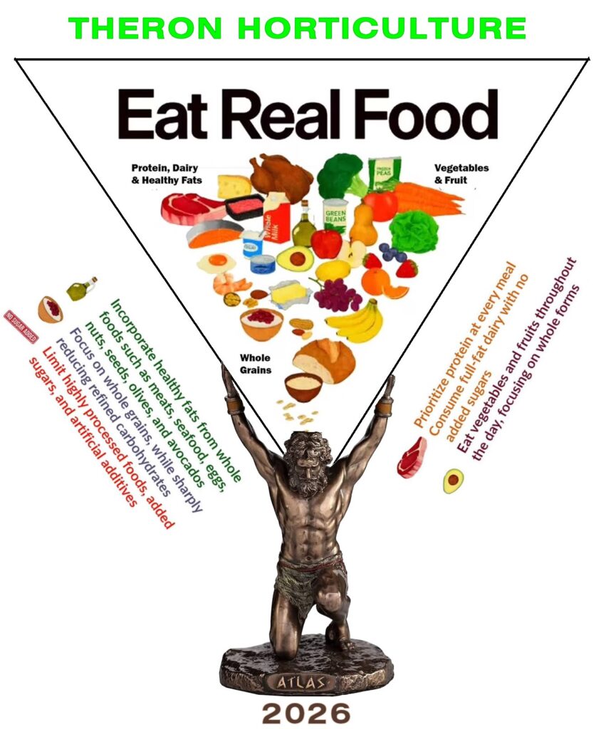 2026 New Health Food Pyramid