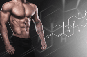 Muscular Male Testosterone